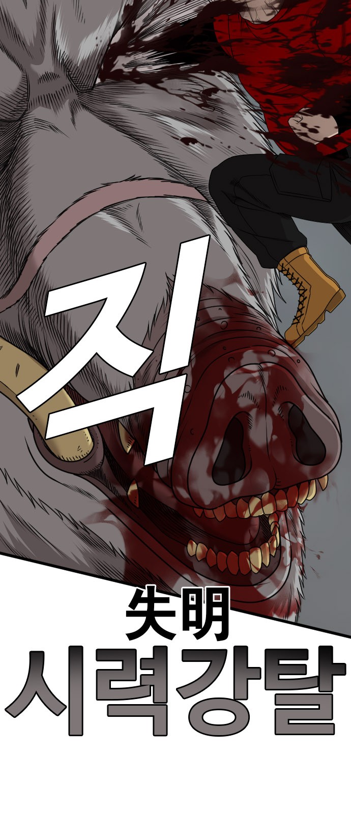 40 페이지