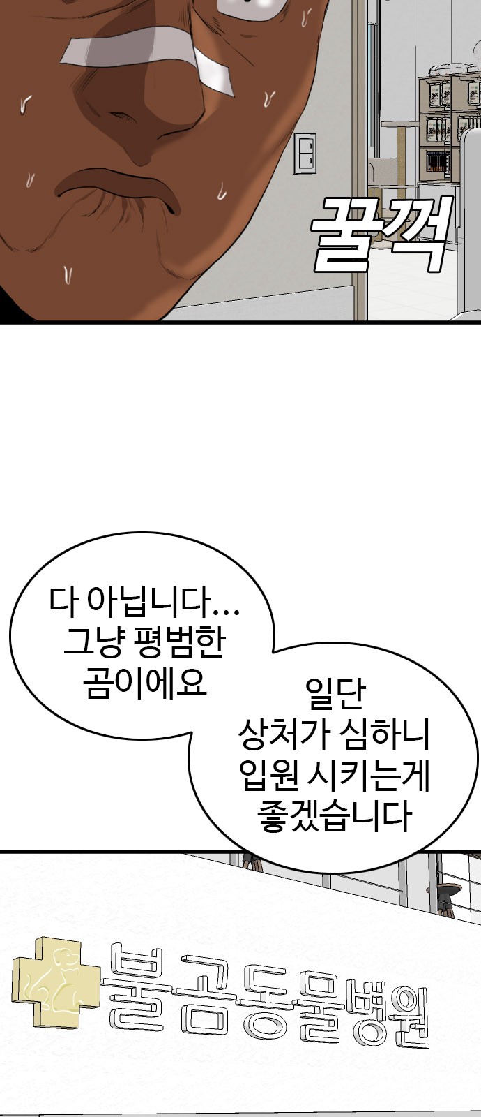 80 페이지