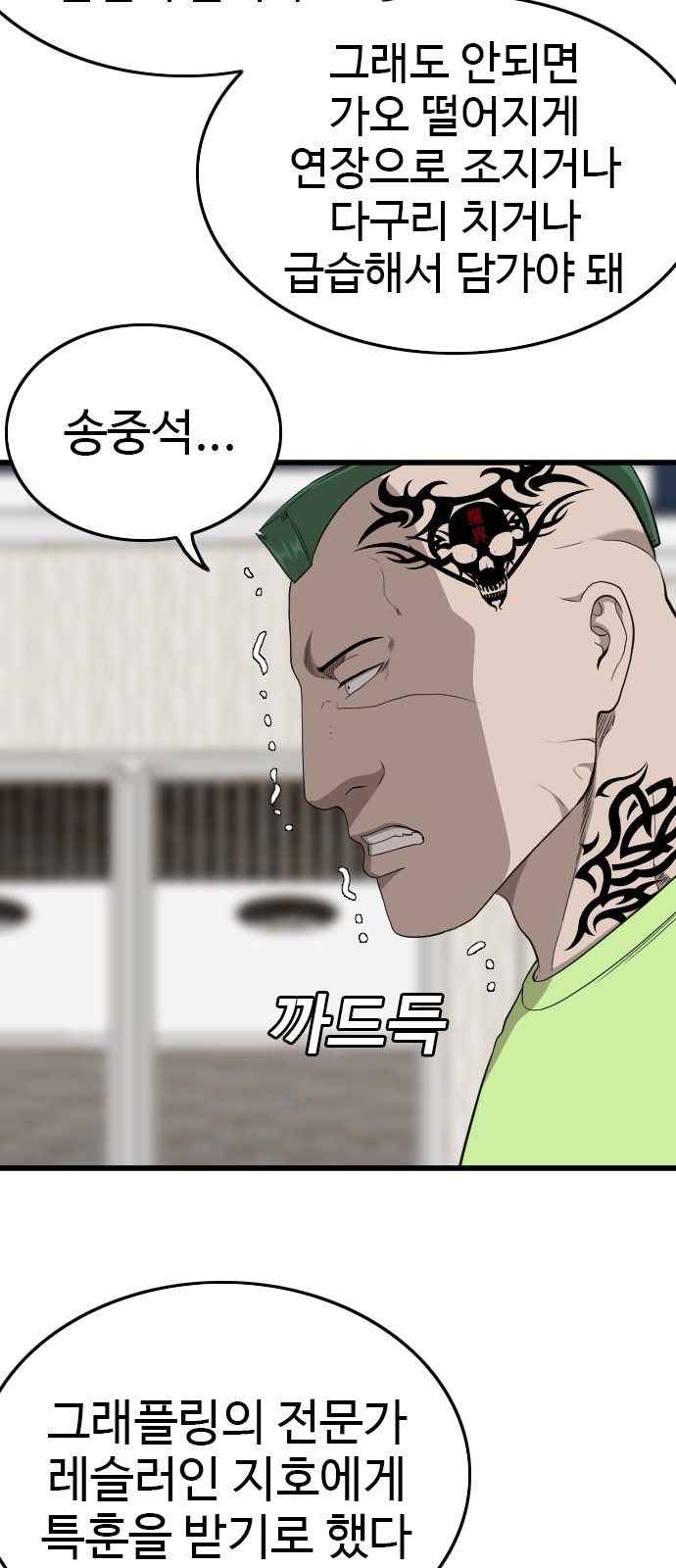 33 페이지