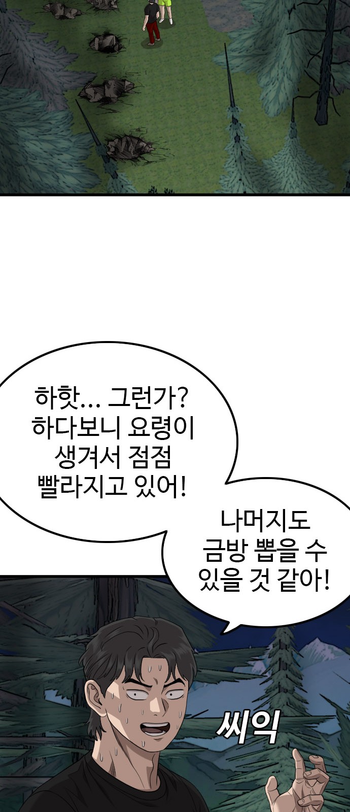66 페이지