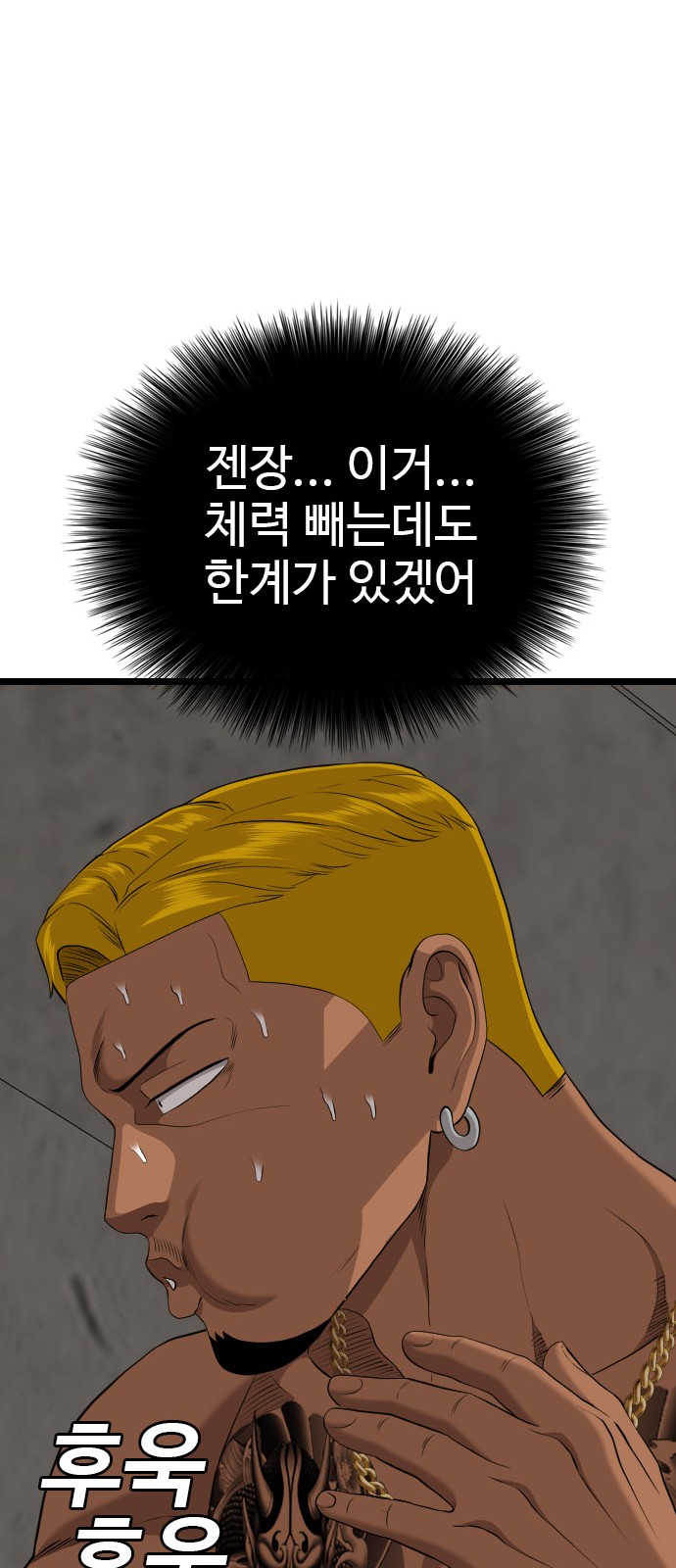 66 페이지