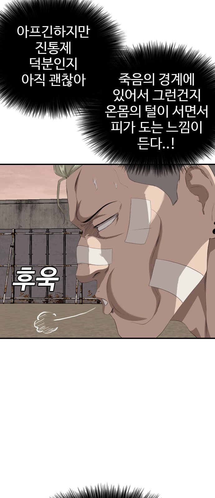 45 페이지