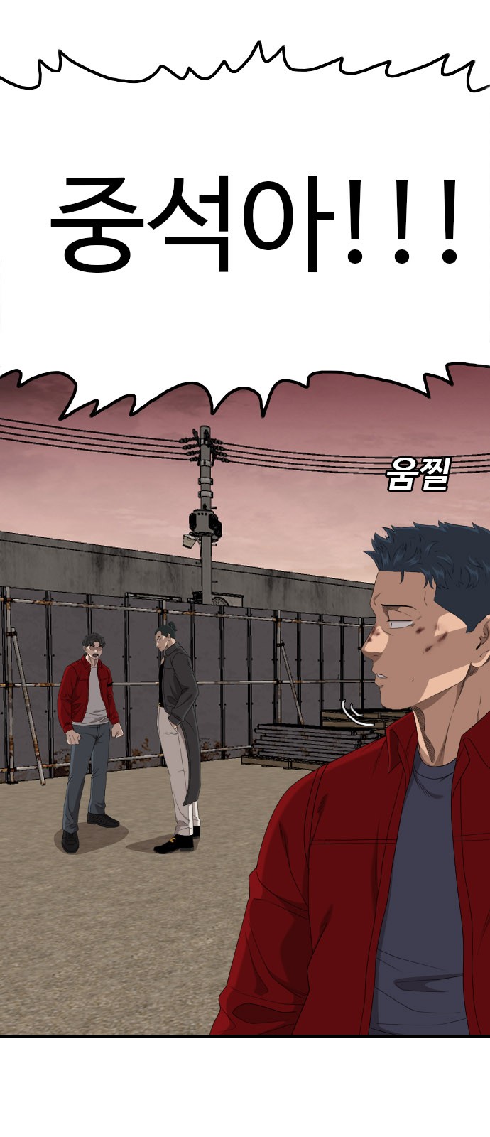 66 페이지