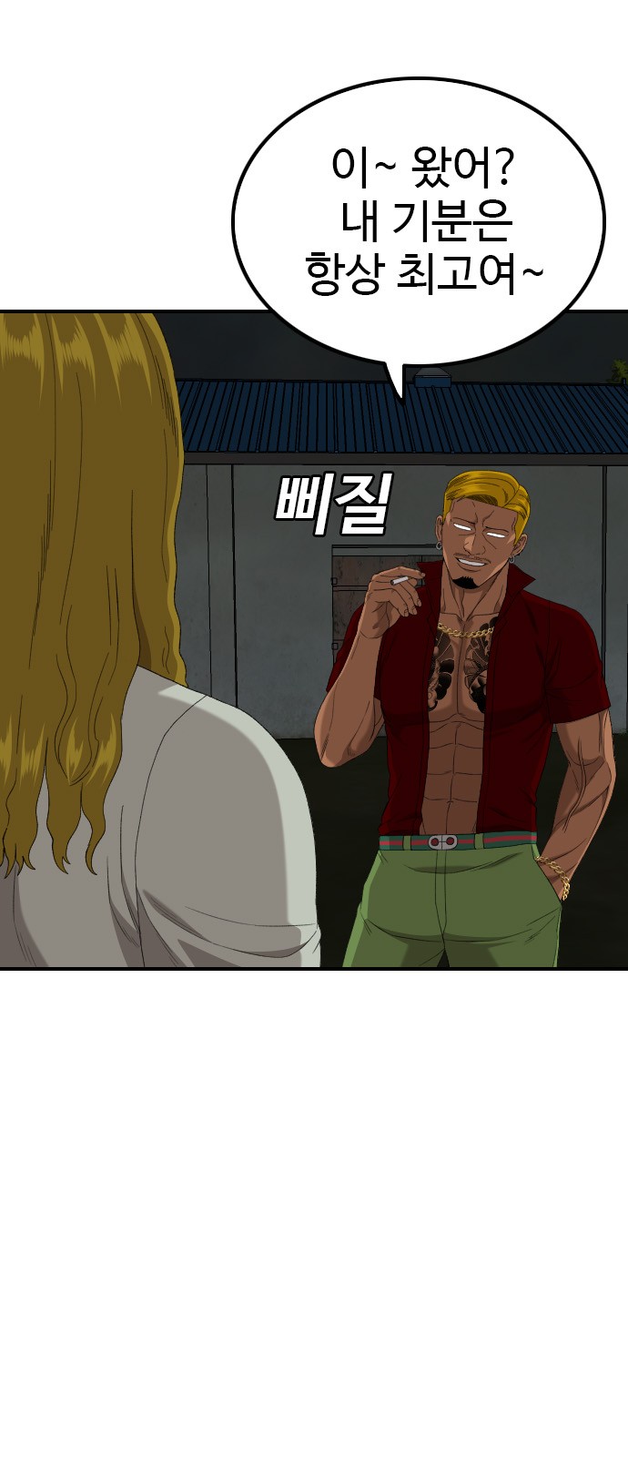 46 페이지