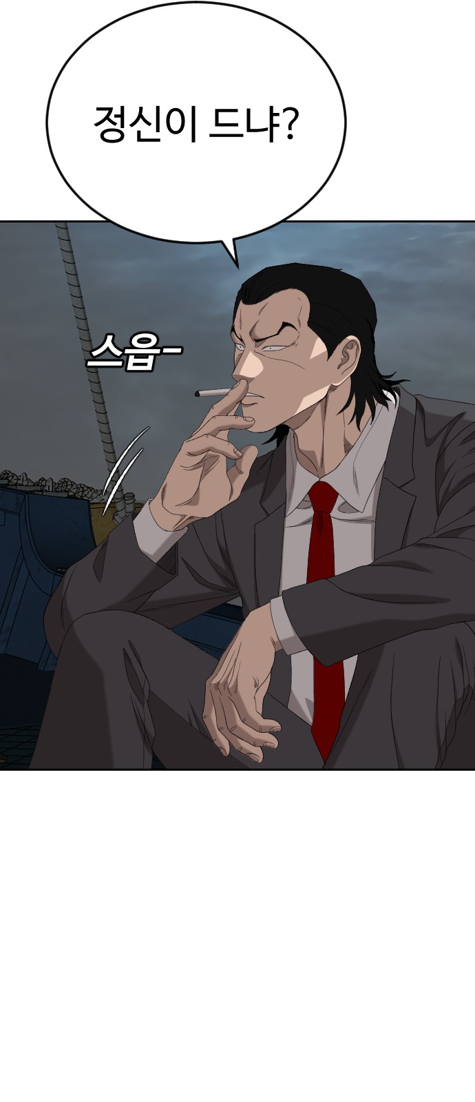 52 페이지
