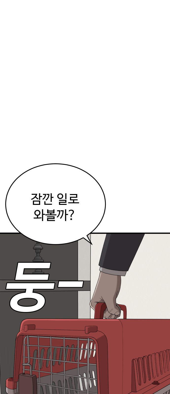 81 페이지