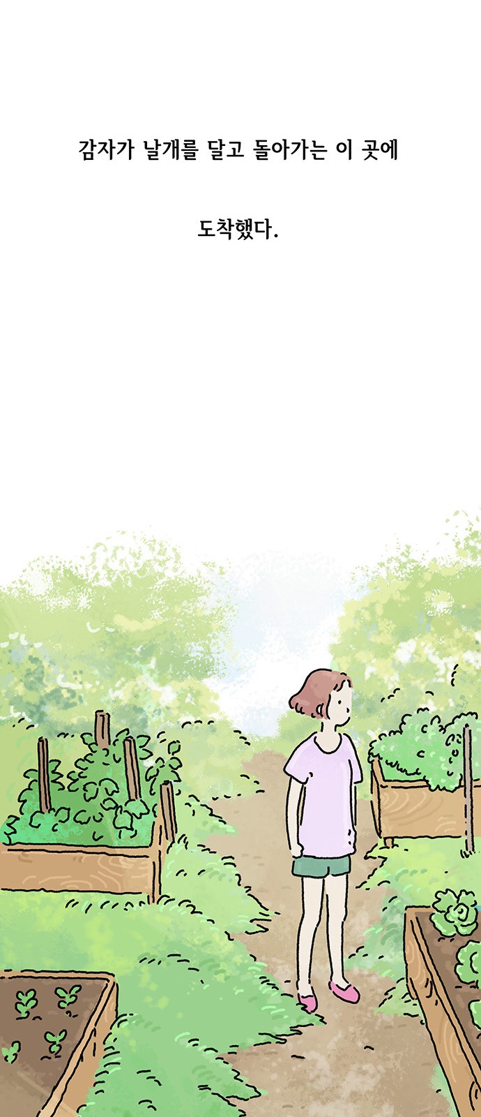 41 페이지