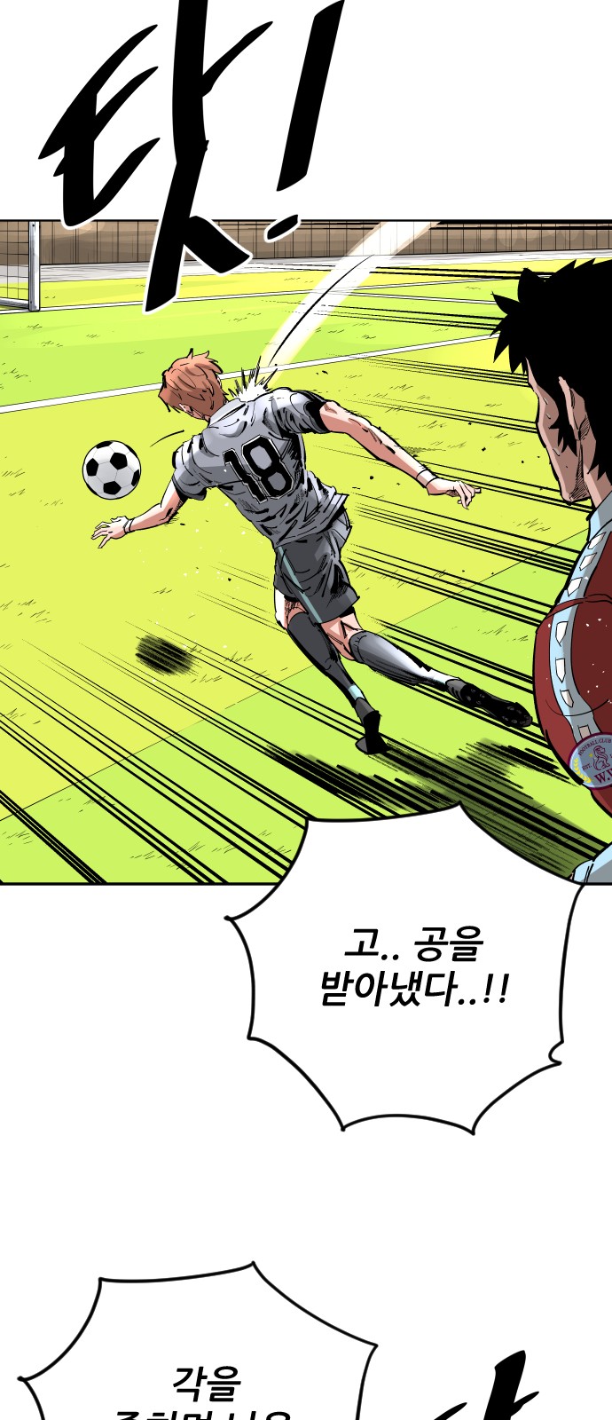 15 페이지
