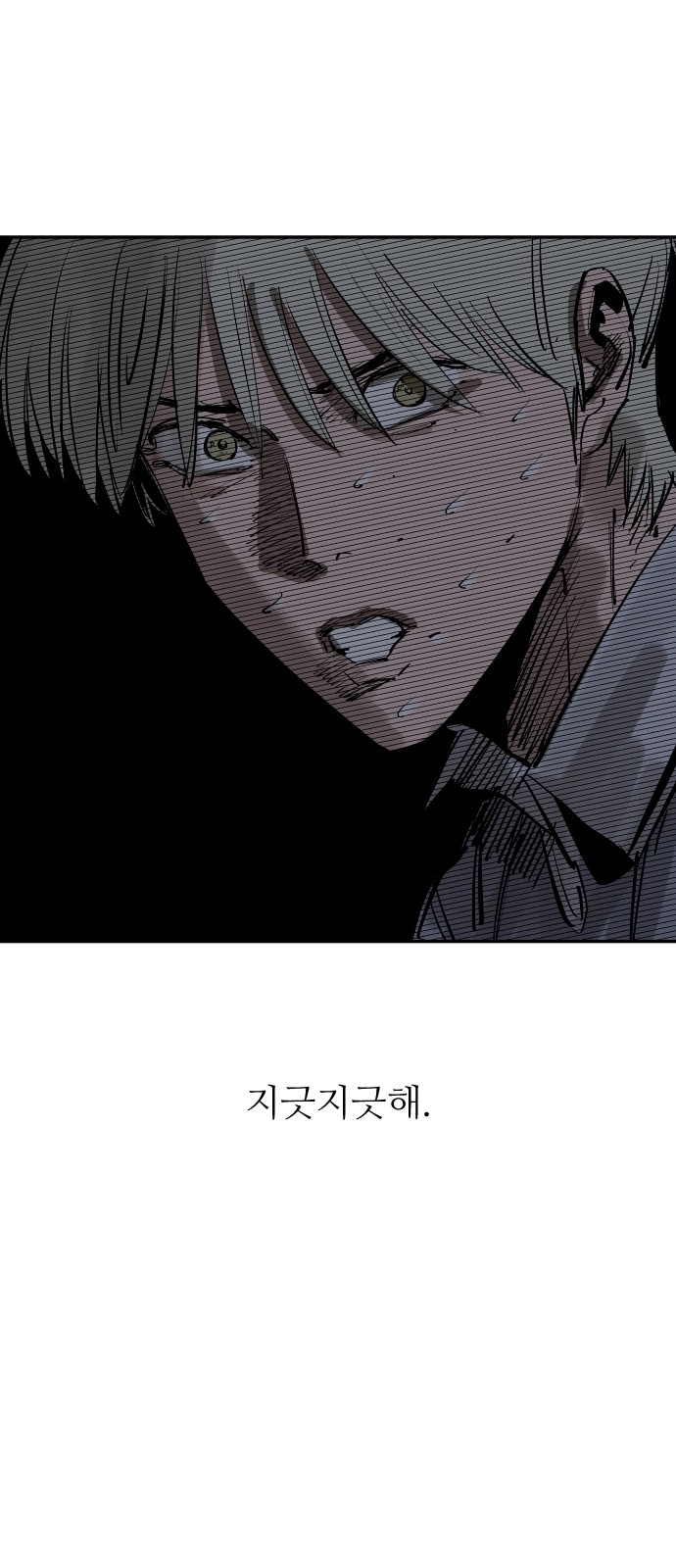 116 페이지