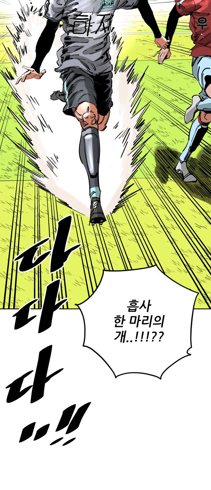 36 페이지