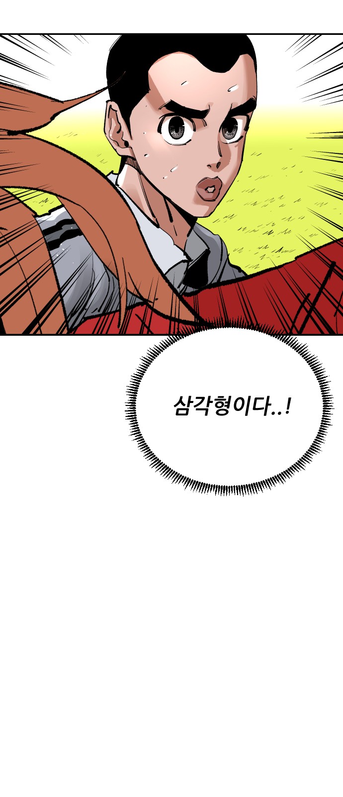 48 페이지