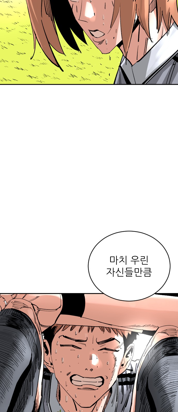 66 페이지