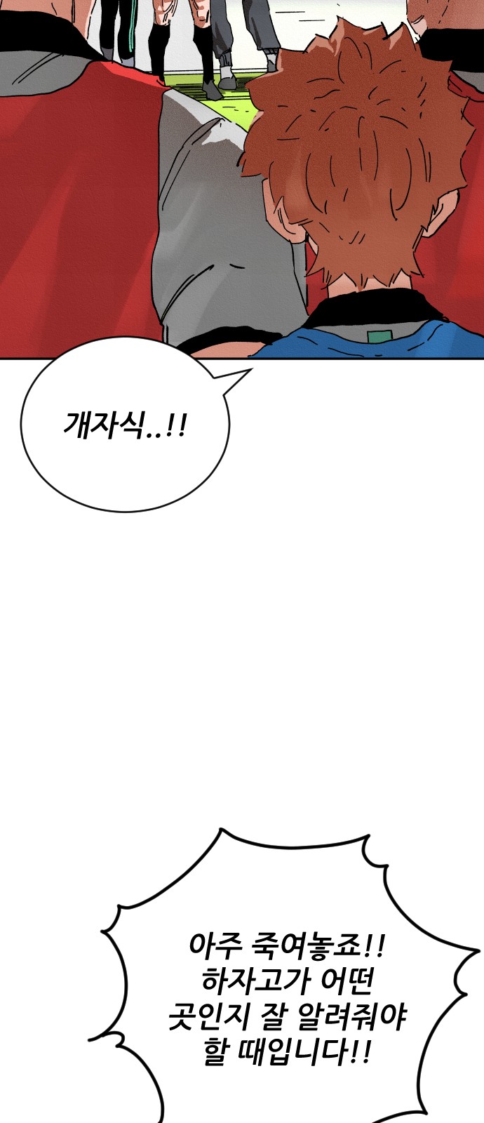 66 페이지