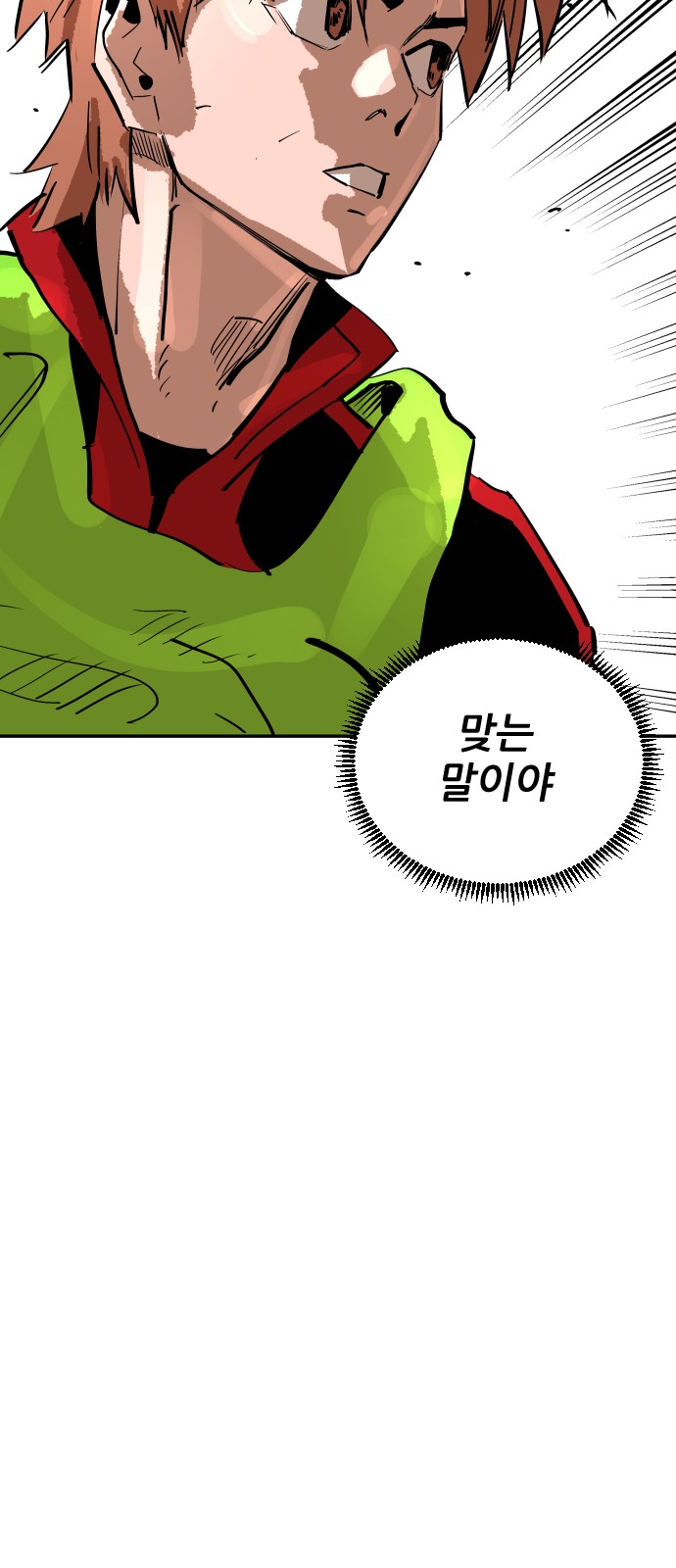 80 페이지
