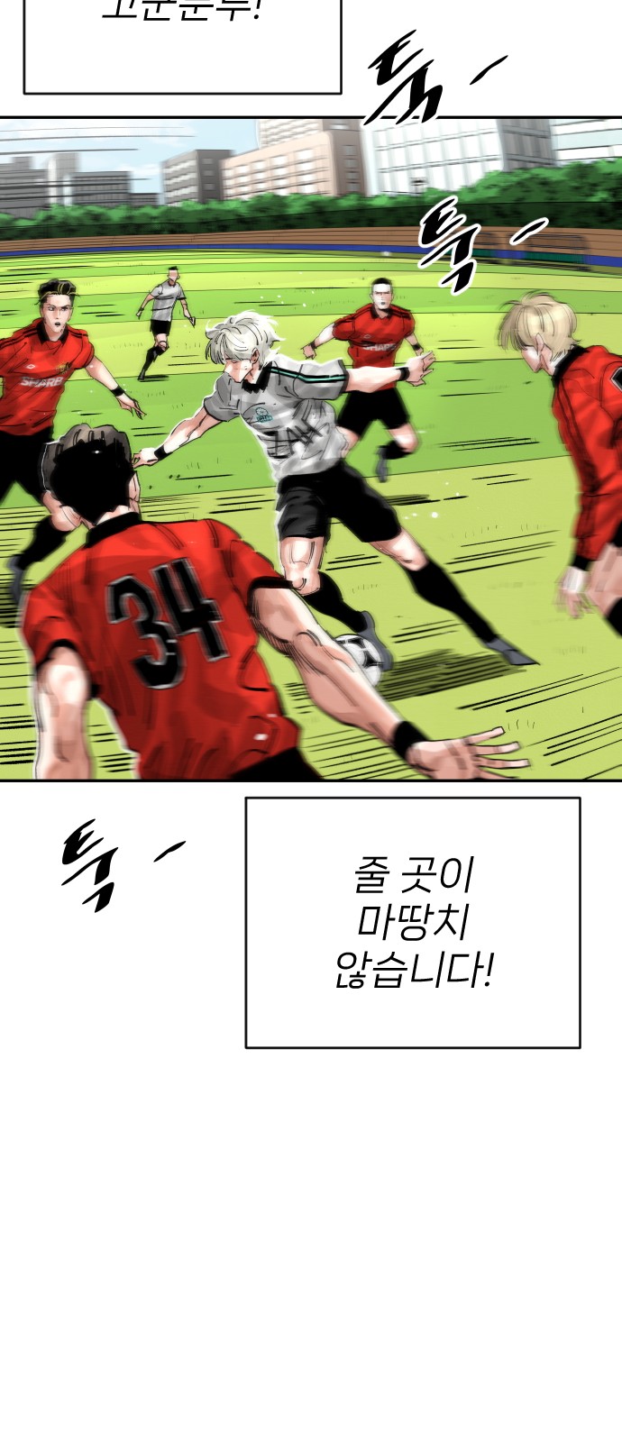 20 페이지