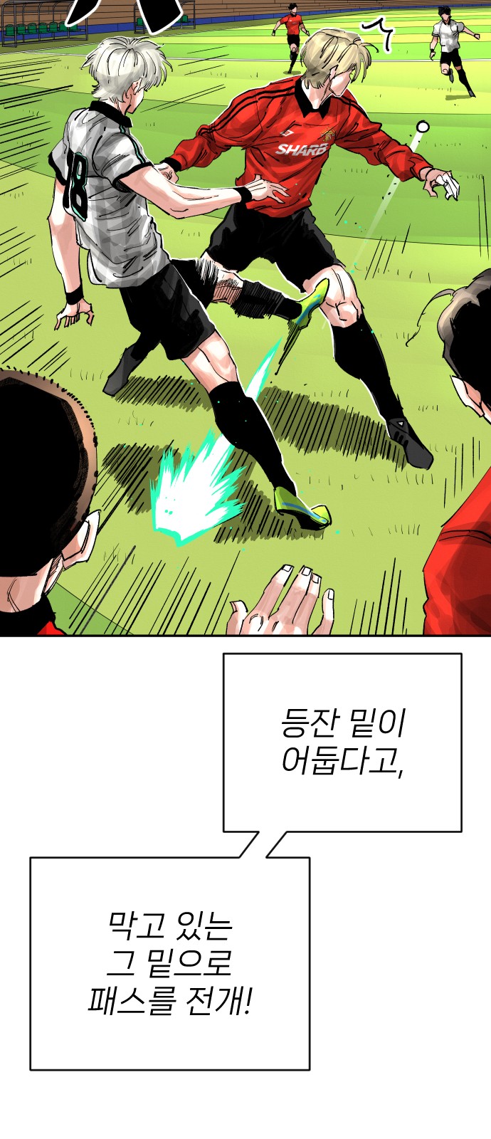 29 페이지