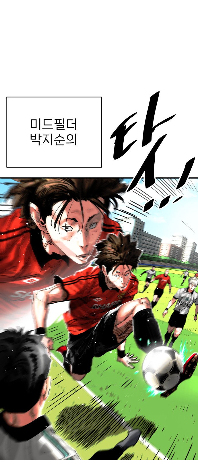 5 페이지