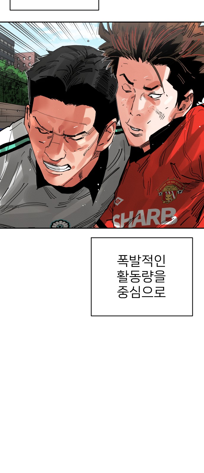 46 페이지