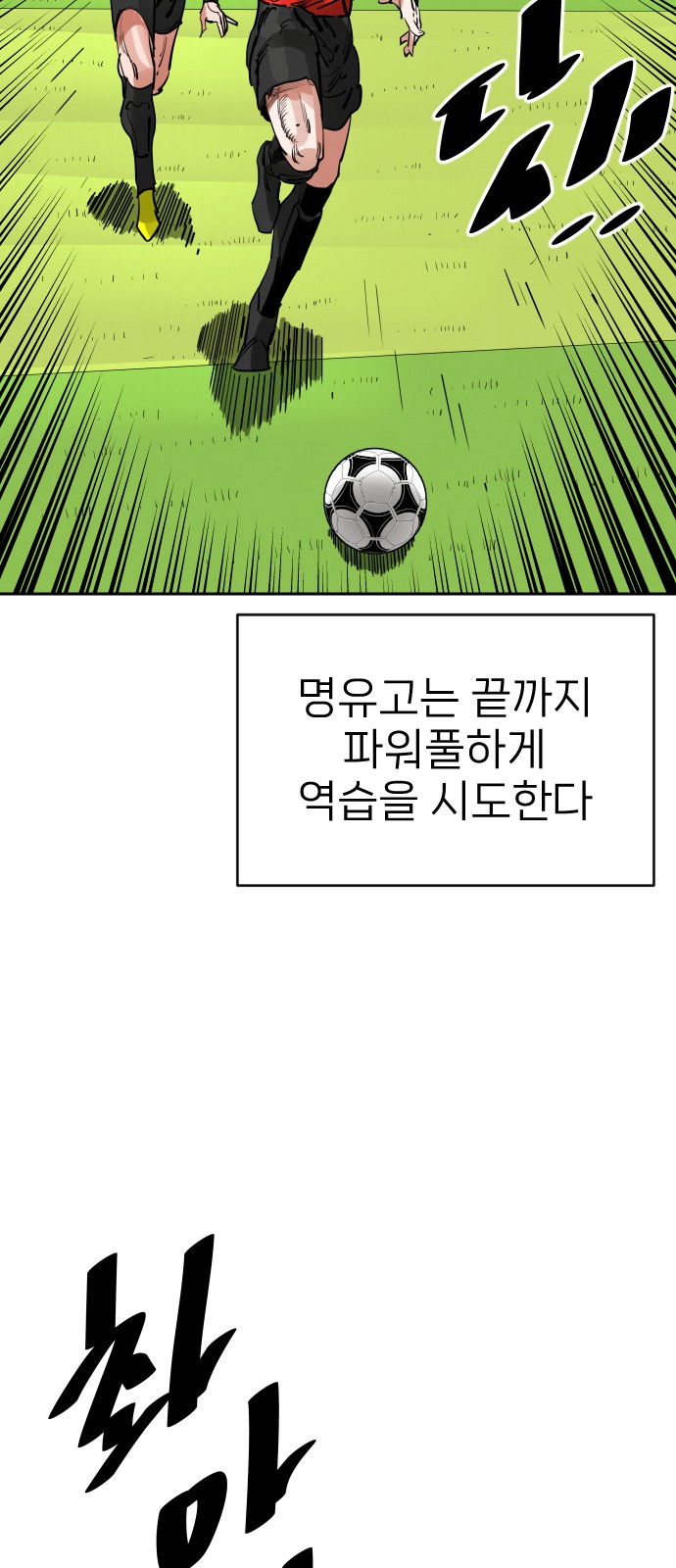 36 페이지