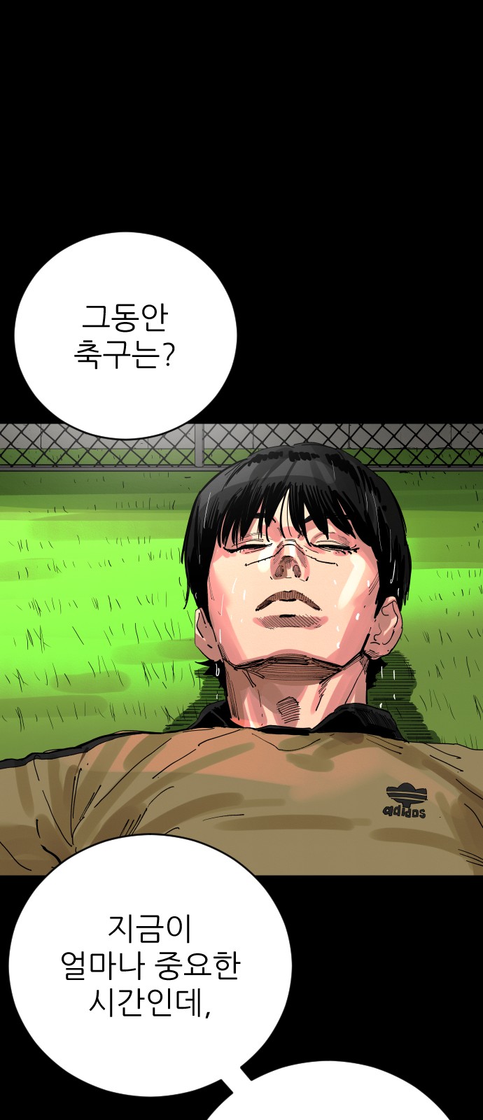 20 페이지