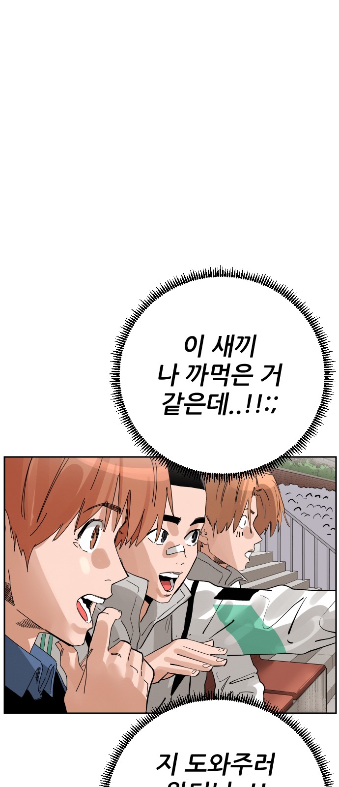 53 페이지