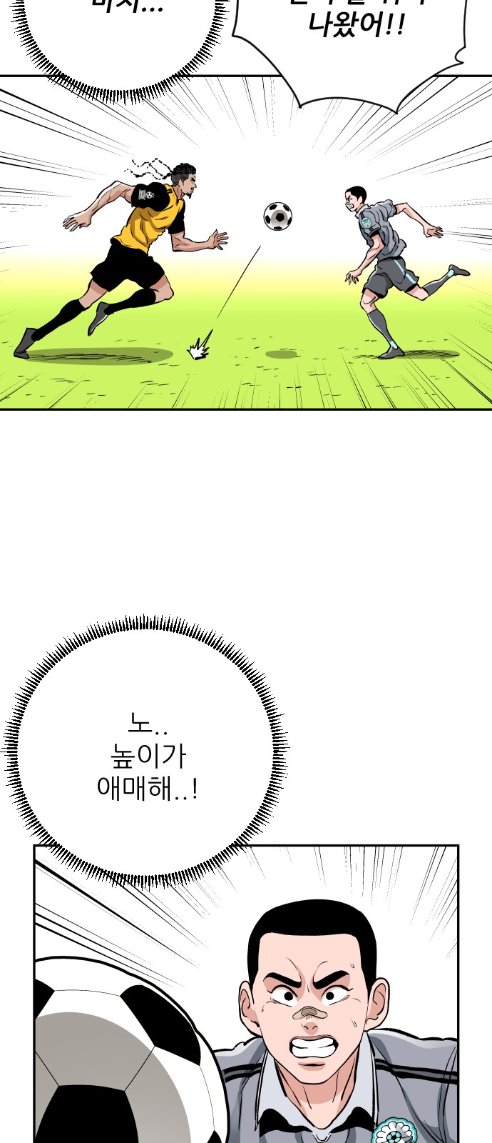 42 페이지