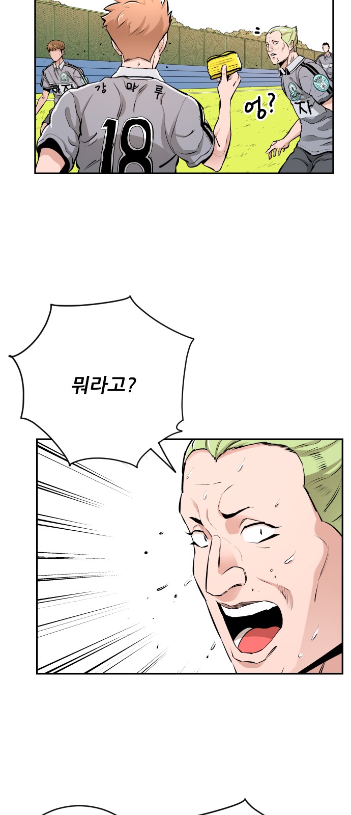 43 페이지