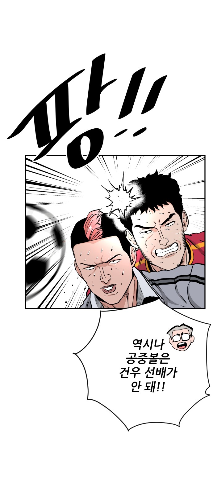 44 페이지