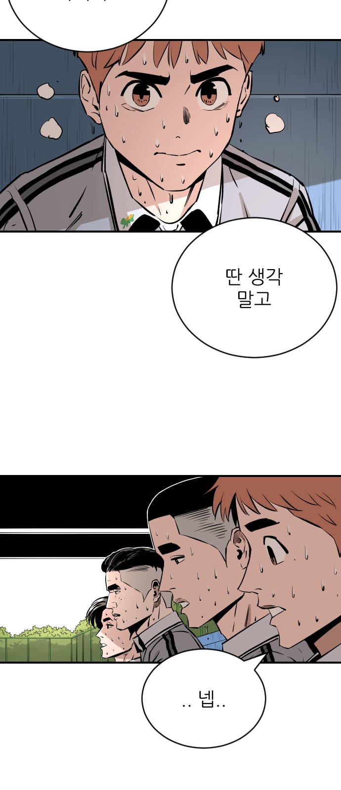 43 페이지