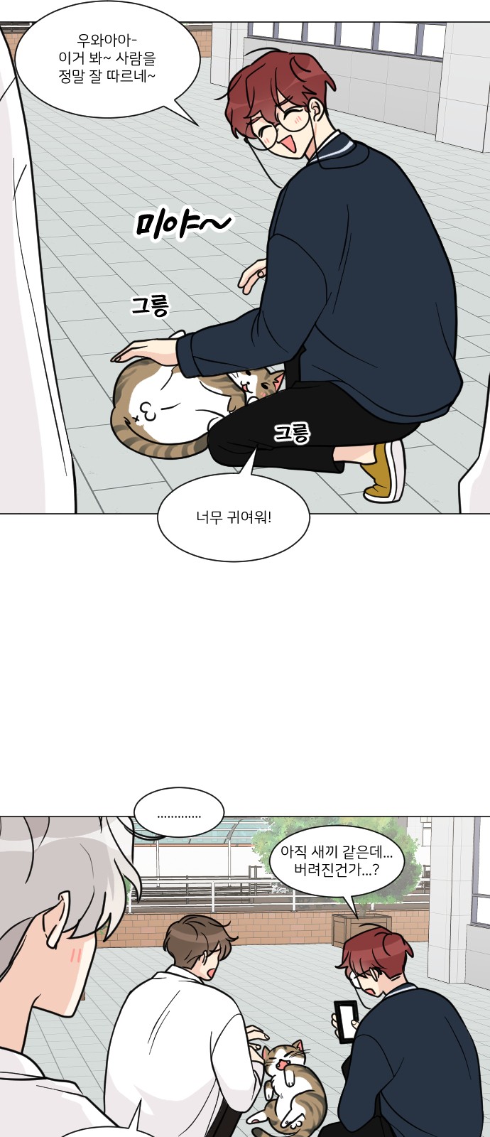 5 페이지