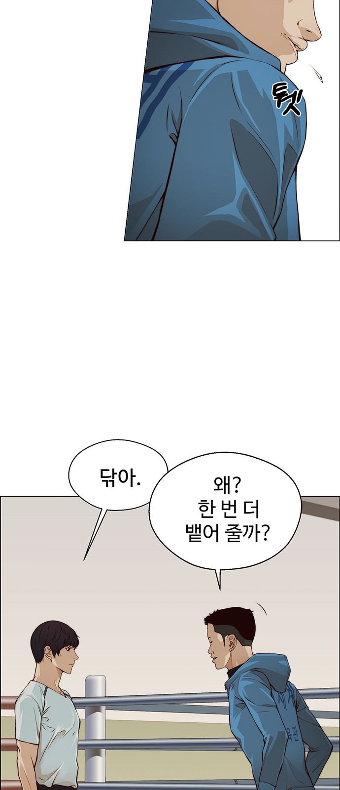 15 페이지