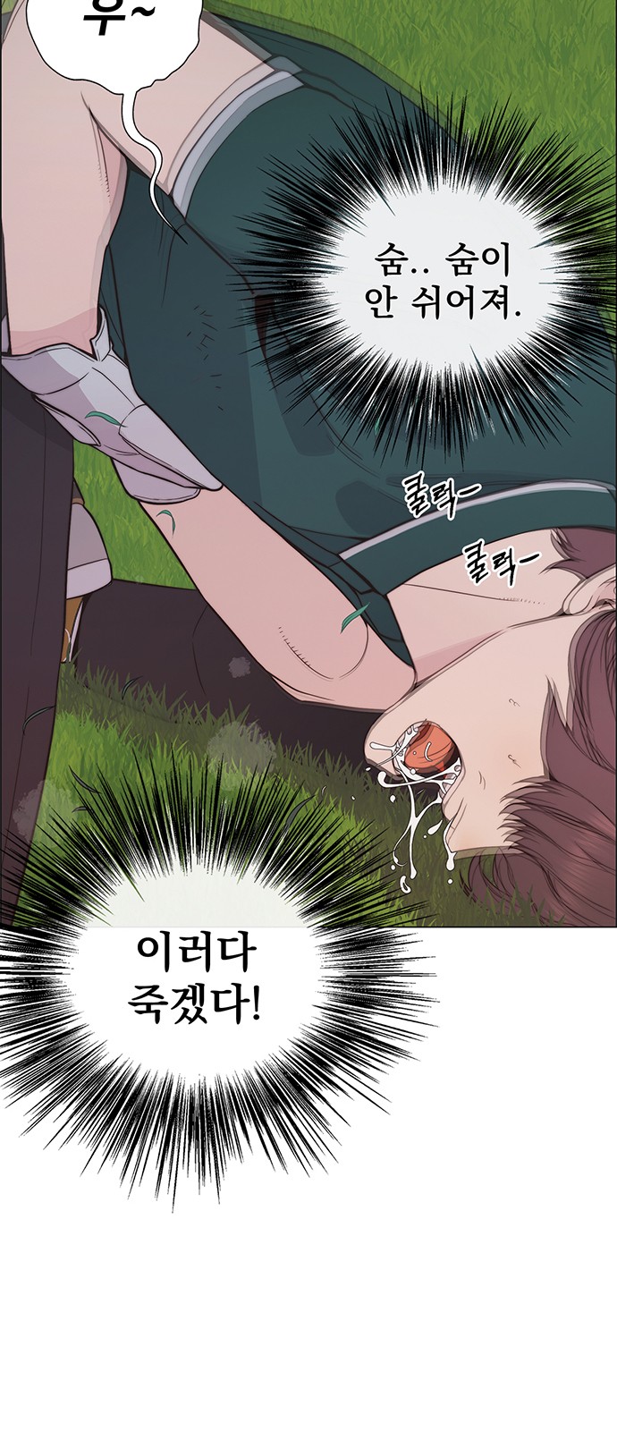 20 페이지