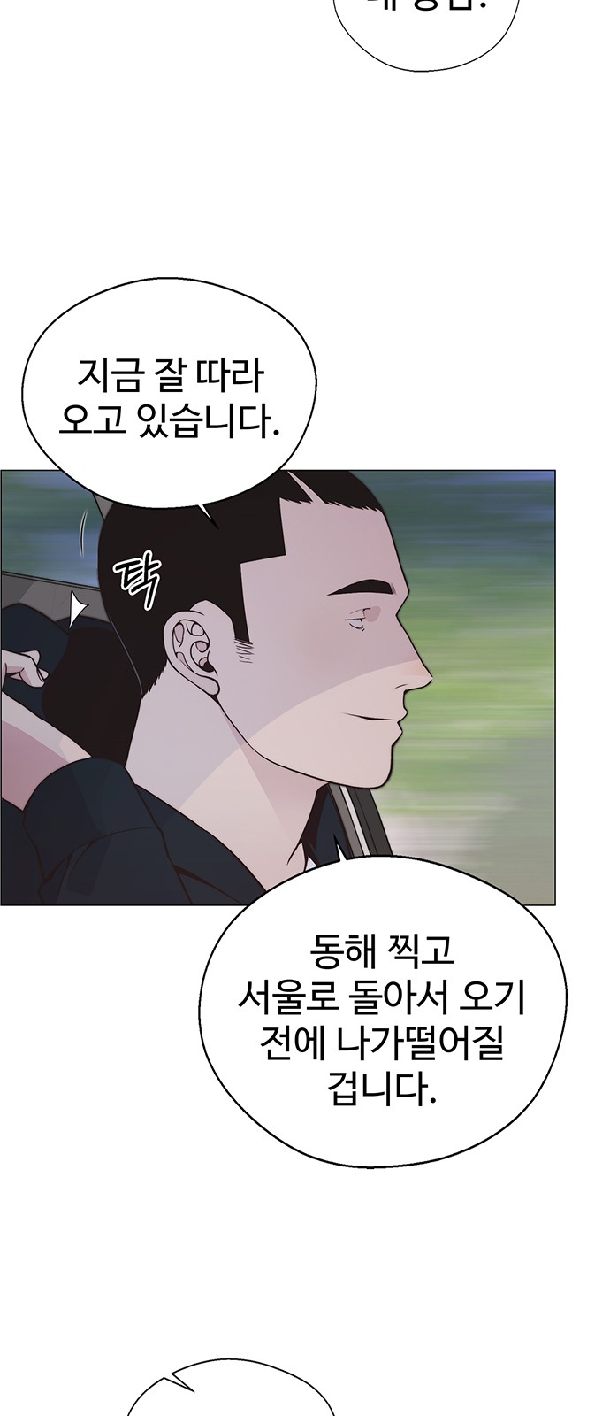 81 페이지