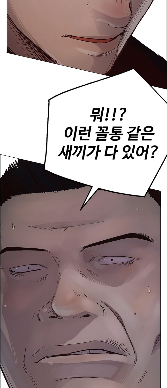 81 페이지