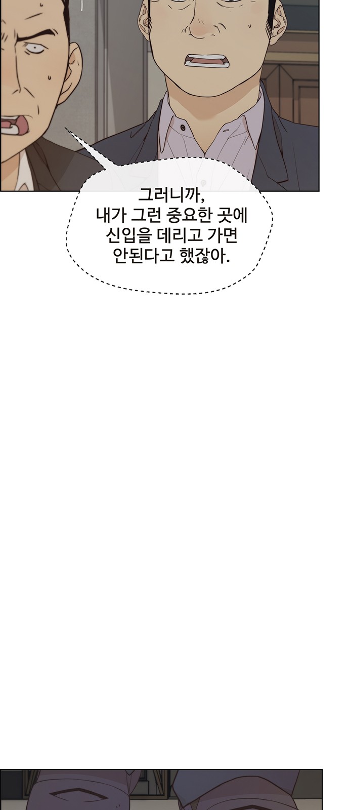 46 페이지