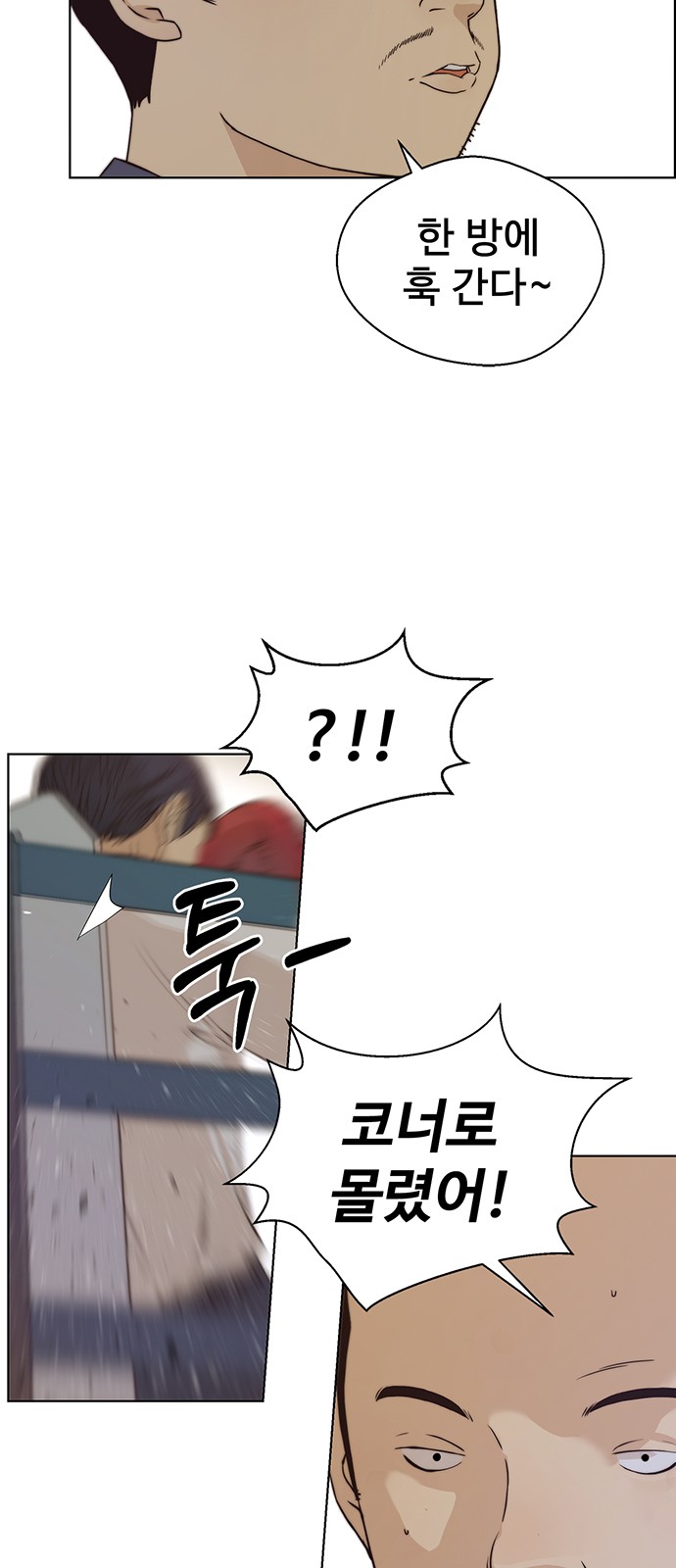 17 페이지