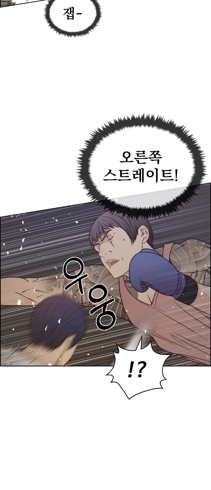 52 페이지