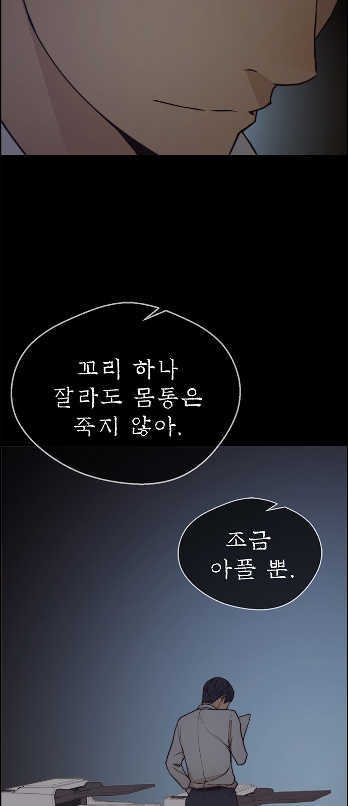 53 페이지