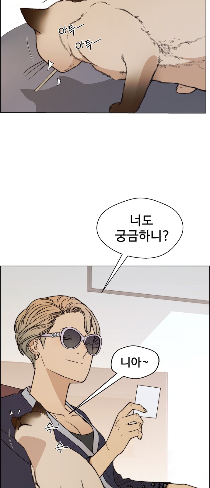 62 페이지