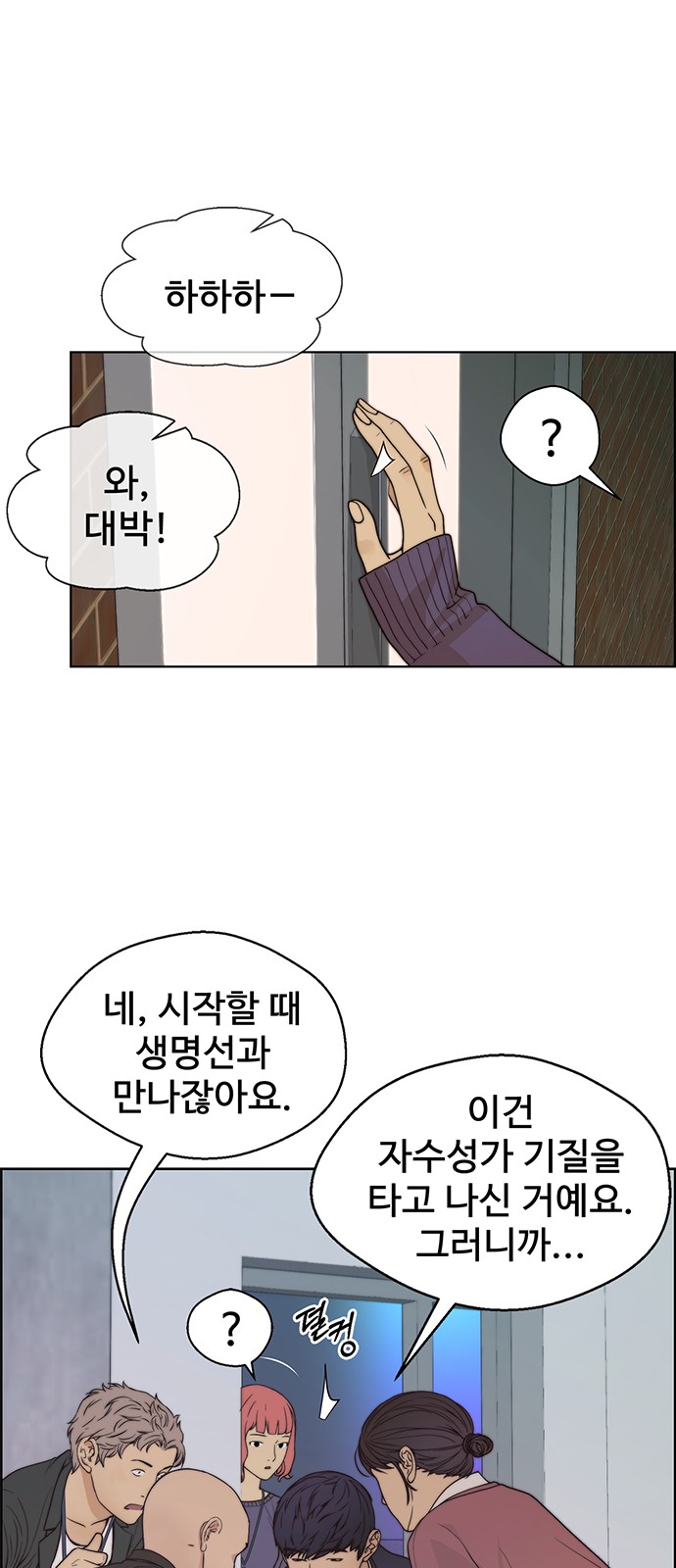48 페이지
