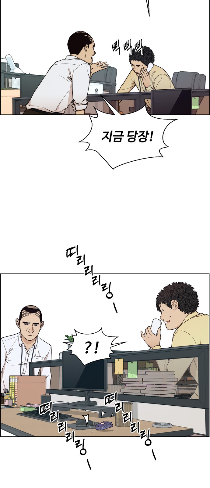 15 페이지