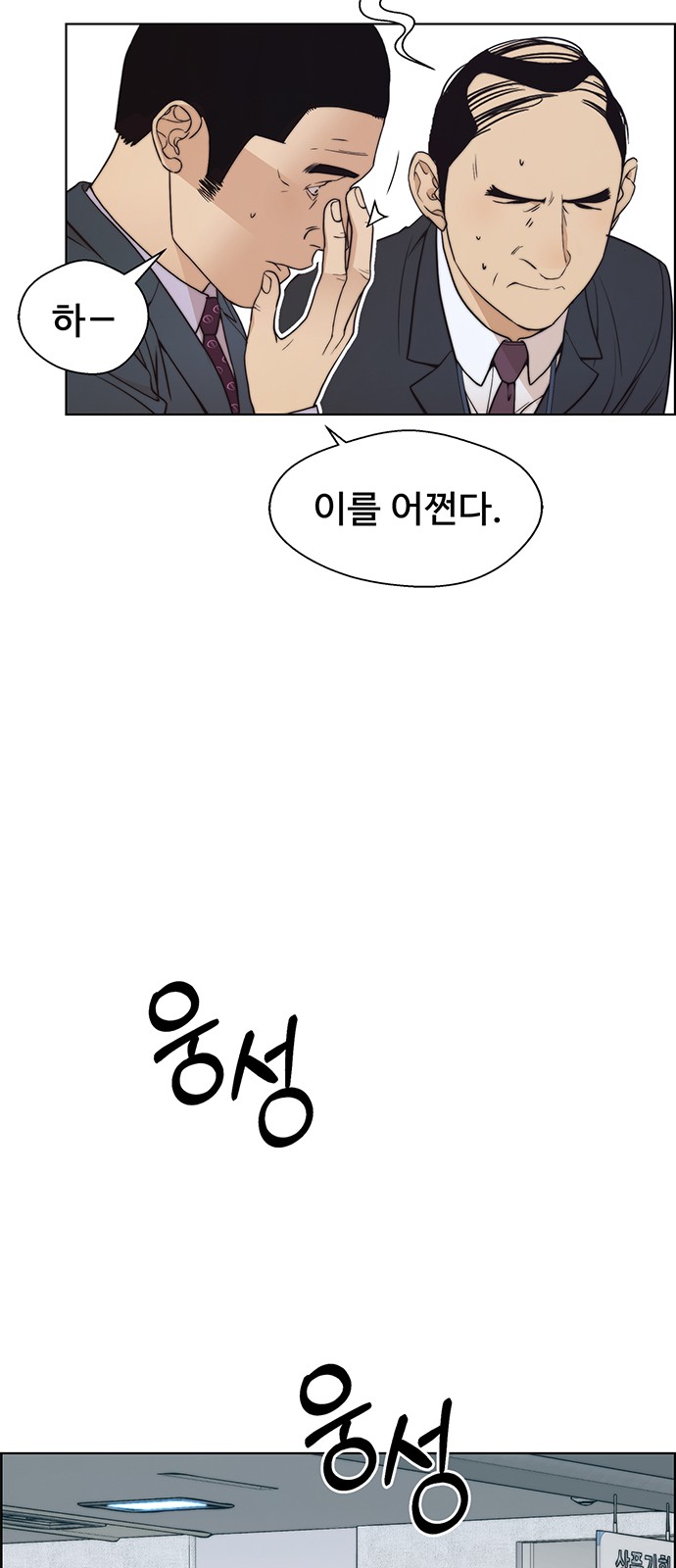 46 페이지