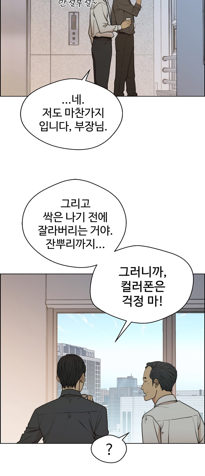 52 페이지