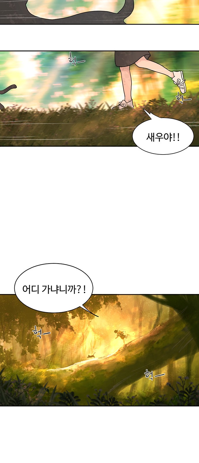 33 페이지