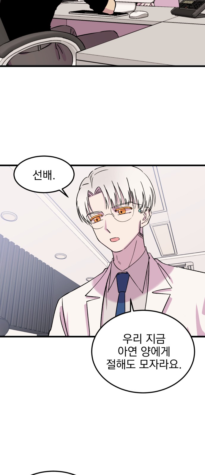 33 페이지