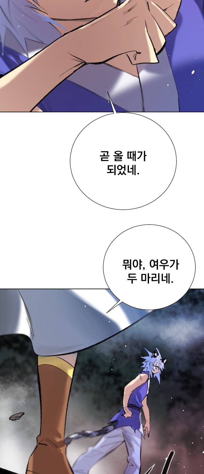 50 페이지