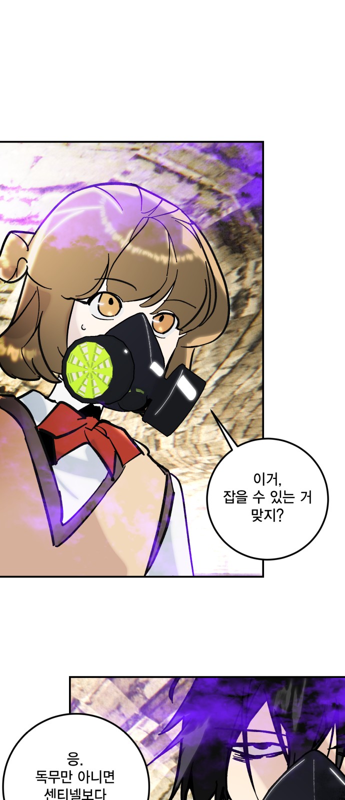46 페이지