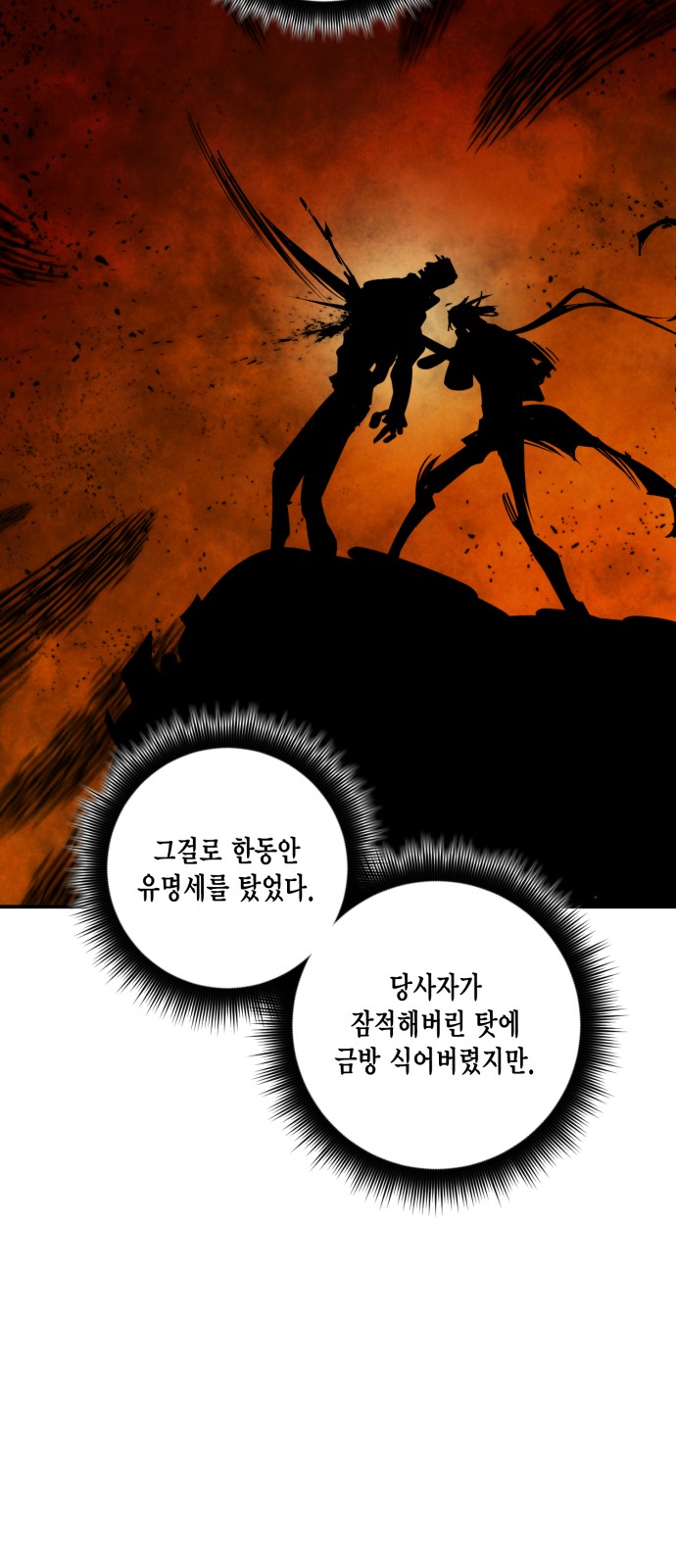 48 페이지
