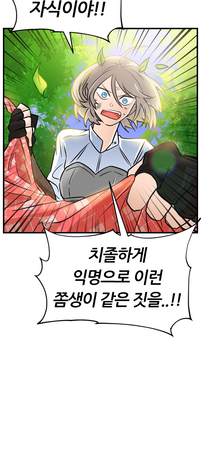 17 페이지