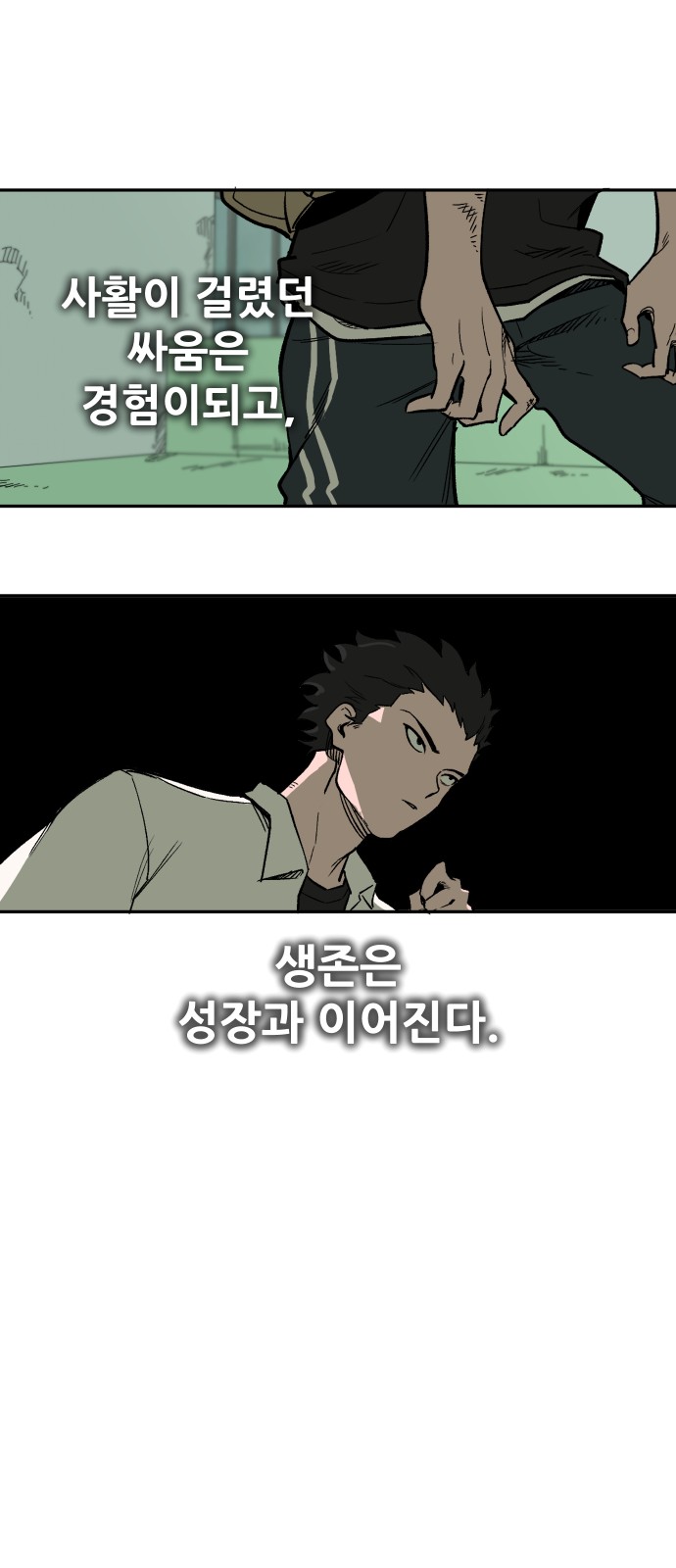 31 페이지